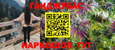 прущие грибы Рязань