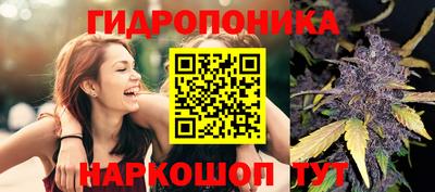 твердый Рыбинск