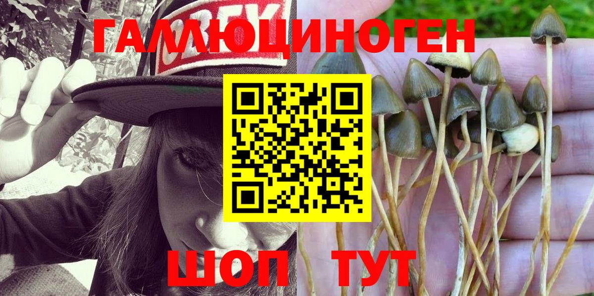 Псилоцибиновые грибы Psilocybine cubensis Орёл